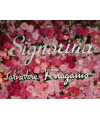 Salvatore Ferragamo Signorina Eau de Toilette 100ml edt Сальваторе Феррагамо Синьорина Туалетная Вода