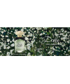 Dolce & Gabbana Dolce 75ml edp Дольче Габбана Дольче (утонченный, изысканный, женственный, нежный)