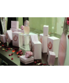 Оригинал Armand Basi Rose Glacee 100ml ( женственный, романтический, цветочный, легкий, свежий аромат)