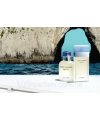 Dolce Gabbana Light Blue 100ml Дольче Габбана Лайт Блу