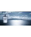 Giorgio Armani Acqua di Gio Blue Edition Pour Homme 100ml edt (Дерзкий, чувственный, волнующий)