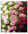 Escada Especially Elixir 75ml edp (роскошный, таинственный, чарующий, сексуальный аромат)
