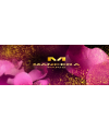 Mancera Indian Dream 120ml edp Mансера Индиан Дрим
