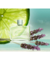 Lacoste Essential 125ml edt Лакост Эссеншиал