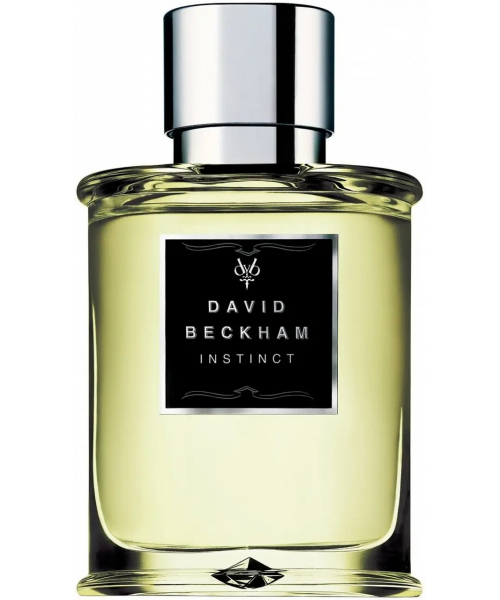 David Beckham Instinct 75ml edt Девид Бекхем Инстинкт (чувственный, притягательный, насыщенный)