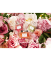 Christian Dior Miss Dior 100ml edt Мисс Диор Кристиан Диор (нежный, романтический, чарующий)