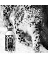 Attar Collection Musk Kashmir 100ml Женские Духи Аттар Муск Кашемир