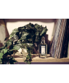 Penhaligon’s The Impudent Cousin Matthew 75ml Мужской Парфюм Пенхалигонс Наглый кузен Мэтью