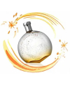 Hermes Eau des Merveilles Tester 100ml edt Женская Туалетная Вода Гермес О де Марвильс