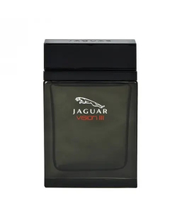 Jaguar Vision III 100ml edt Мужская Туалетная Вода Ягуар Визит 3