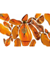 Jesus Del Pozo Ambar 100ml Духи Хесус Дель Позо Амбар