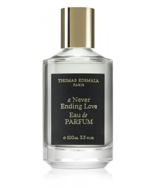Thomas Kosmala A Never Ending Love 100ml Селективный Парфюм Томас Космала Бесконечная любовь (Томас Космала Невер Индинг Лав)